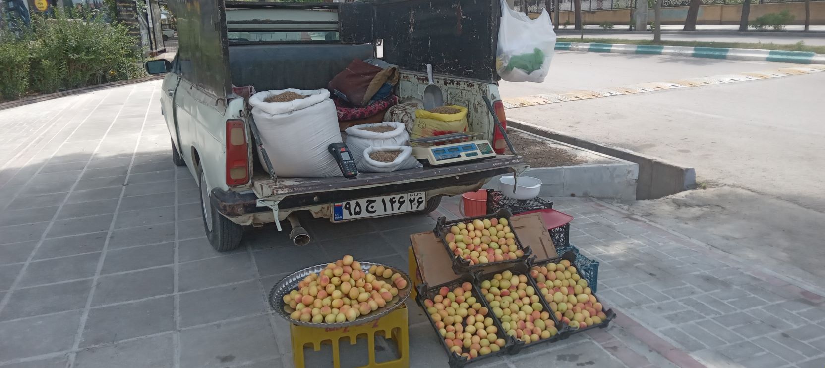 فروش خشکبار، حبوبات و نوشیدنی